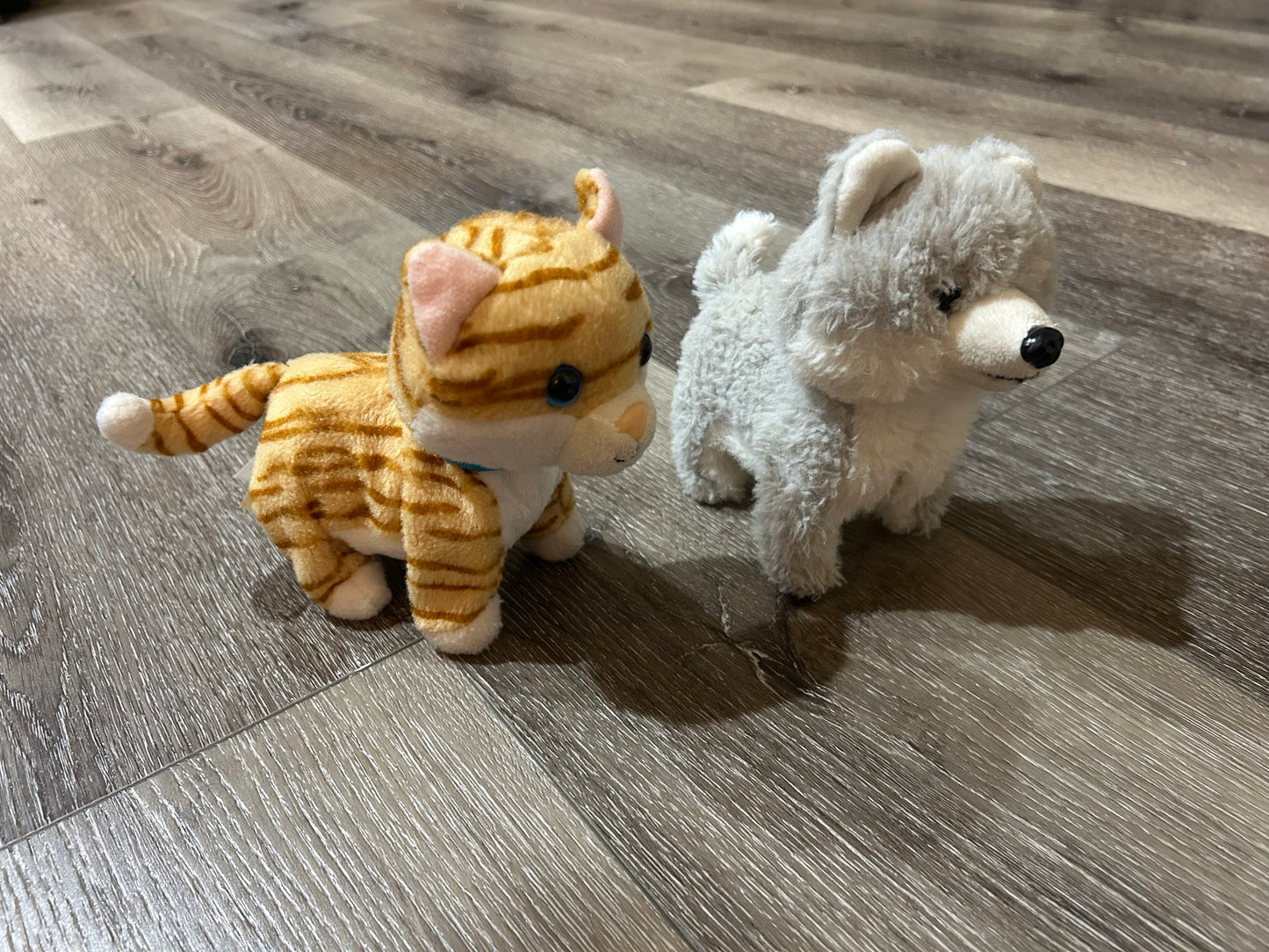 cat / dog electronic walking pets